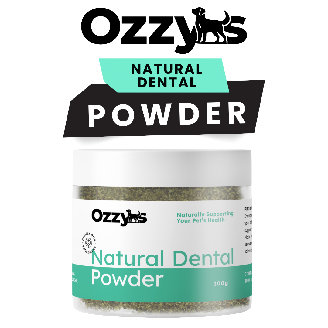 Ozzy’s Dental Powder – Natural Seaweed-Based Dog Teeth Cleaner Ozzy's