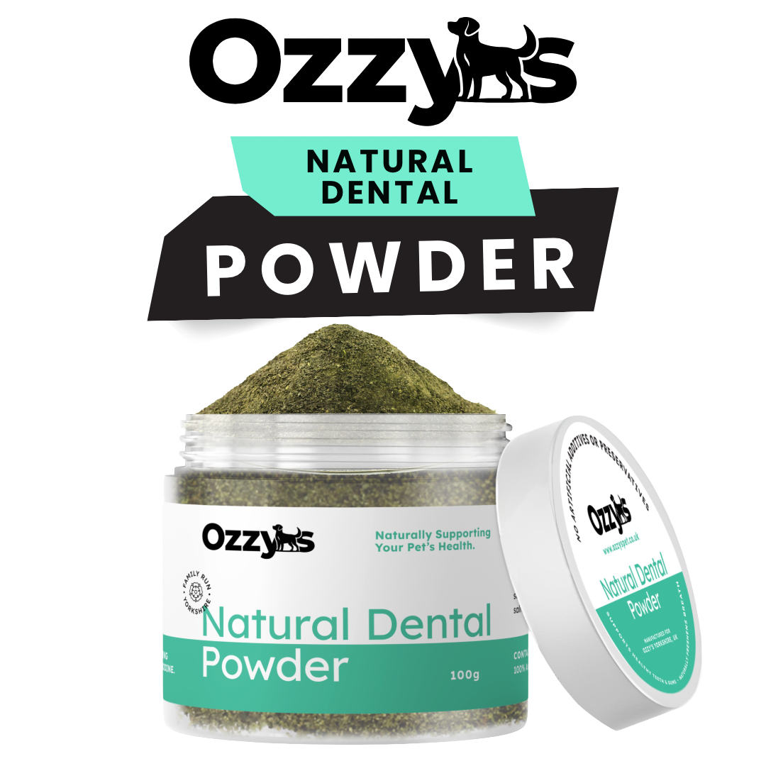 Ozzy’s Dental Powder – Natural Seaweed-Based Dog Teeth Cleaner Ozzy's