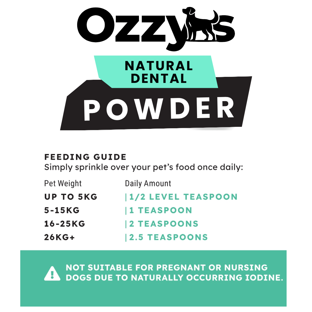 Ozzy’s Dental Powder – Natural Seaweed-Based Dog Teeth Cleaner Ozzy's